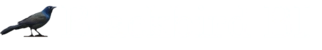 Blackbird BI Logo